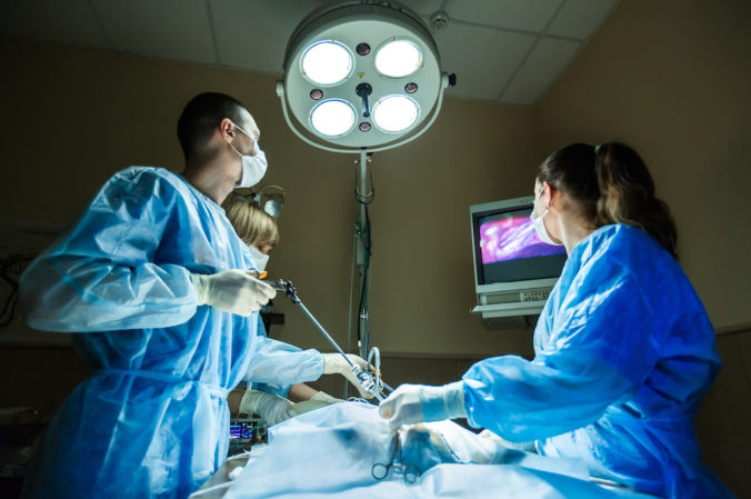 doctors in an operating room practicing a laparoscopy to an animal