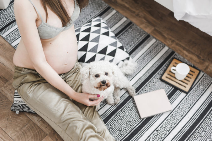 mujer embarazada sentada en el suelo junto a un perro