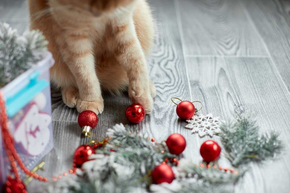 Gato jugando con bolas de decoración navideña