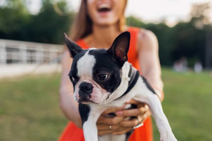 young happy smiling woman in orange dress having fun playing with dog in park, summer style, cheerful mood