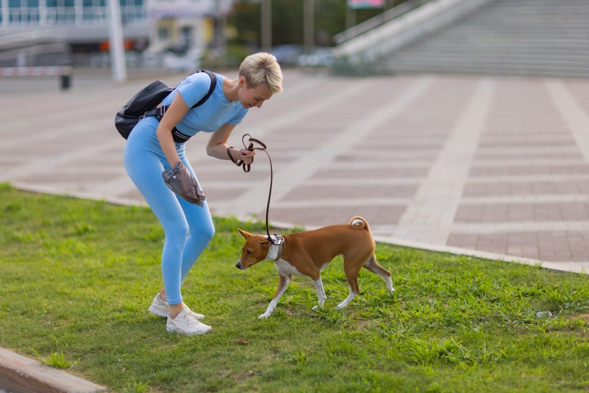 Mujer recogiendo las heces de su perro en la calle