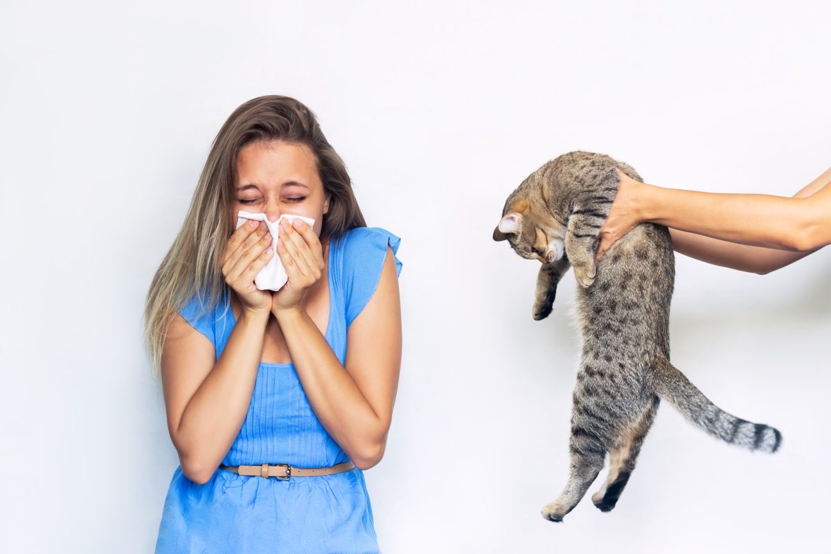 Mujer con alergia a gatos estornudando con un gato cerca de ella